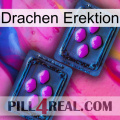 Dragon Erection 03